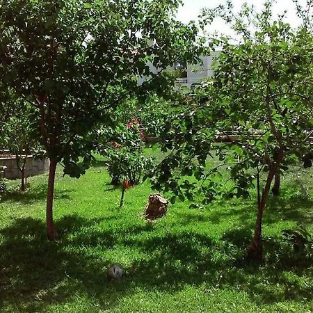 Sunny Garden Studio Atenas Exterior foto